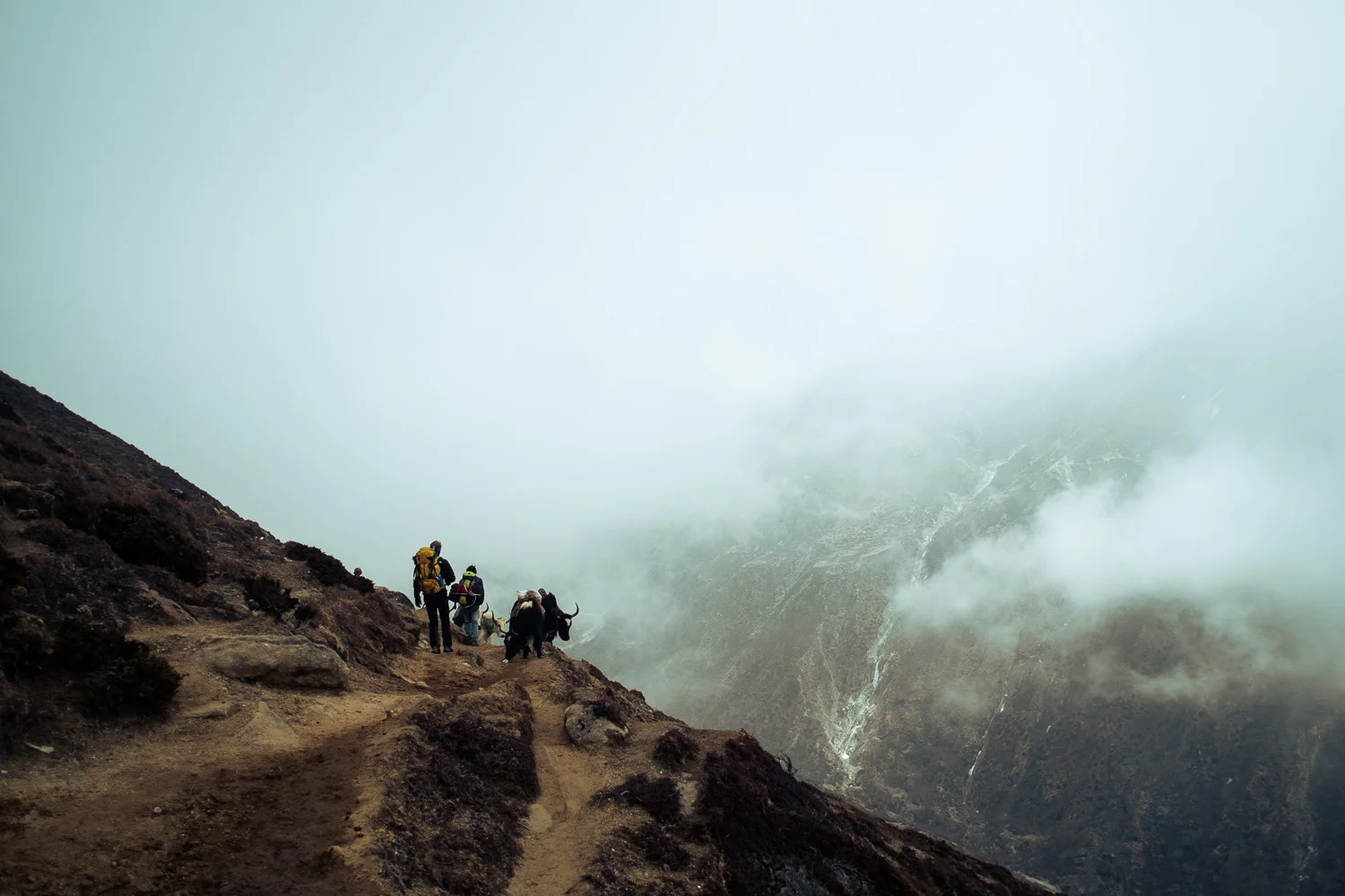 Island Peak, March 2013 — photograph by Stephan Geyer