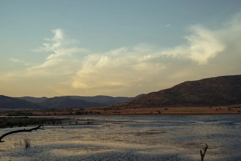 A Late Afternoon in Pilanesberg, South Africa — photograph by Stephan Geyer