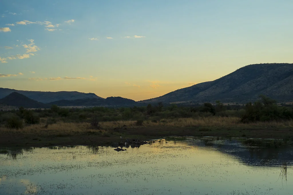 A Late Afternoon in Pilanesberg, South Africa — photograph by Stephan Geyer