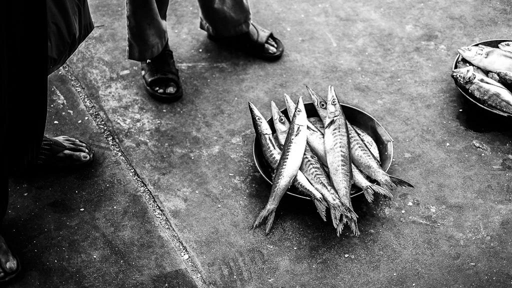 Dubai Fish Market — blog post by Stephan Geyer