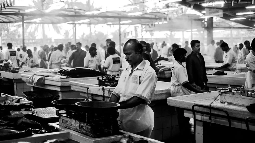 Dubai Fish Market — photograph by Stephan Geyer