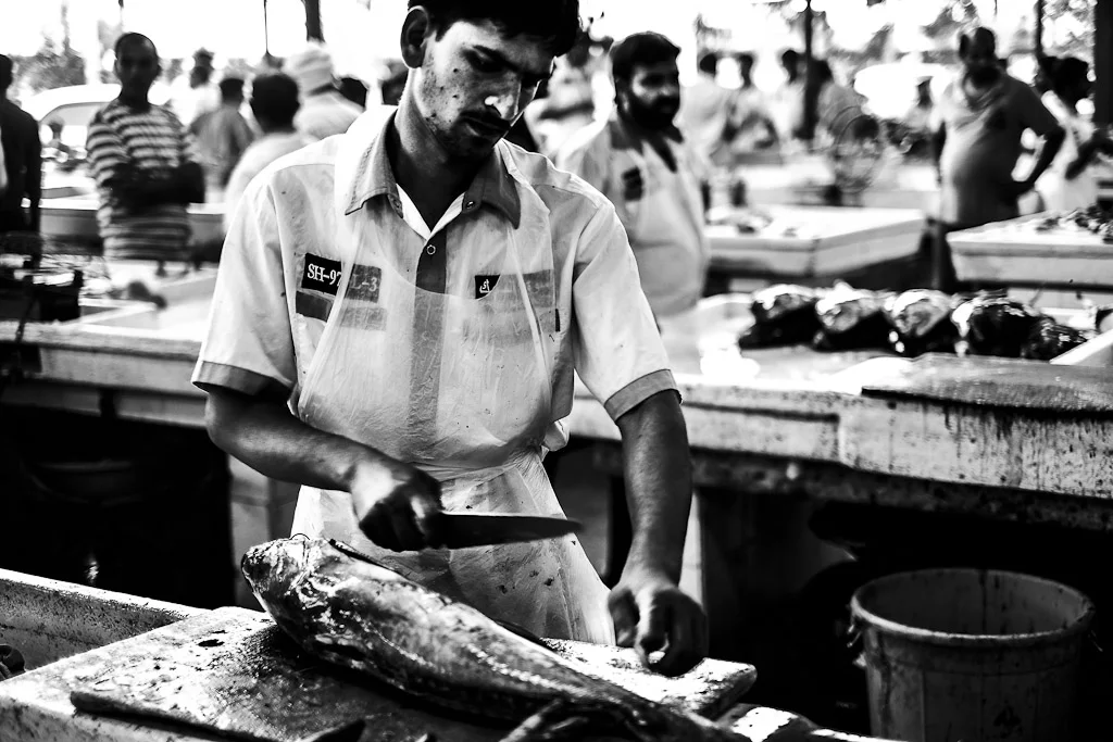 Dubai Fish Market — photograph by Stephan Geyer