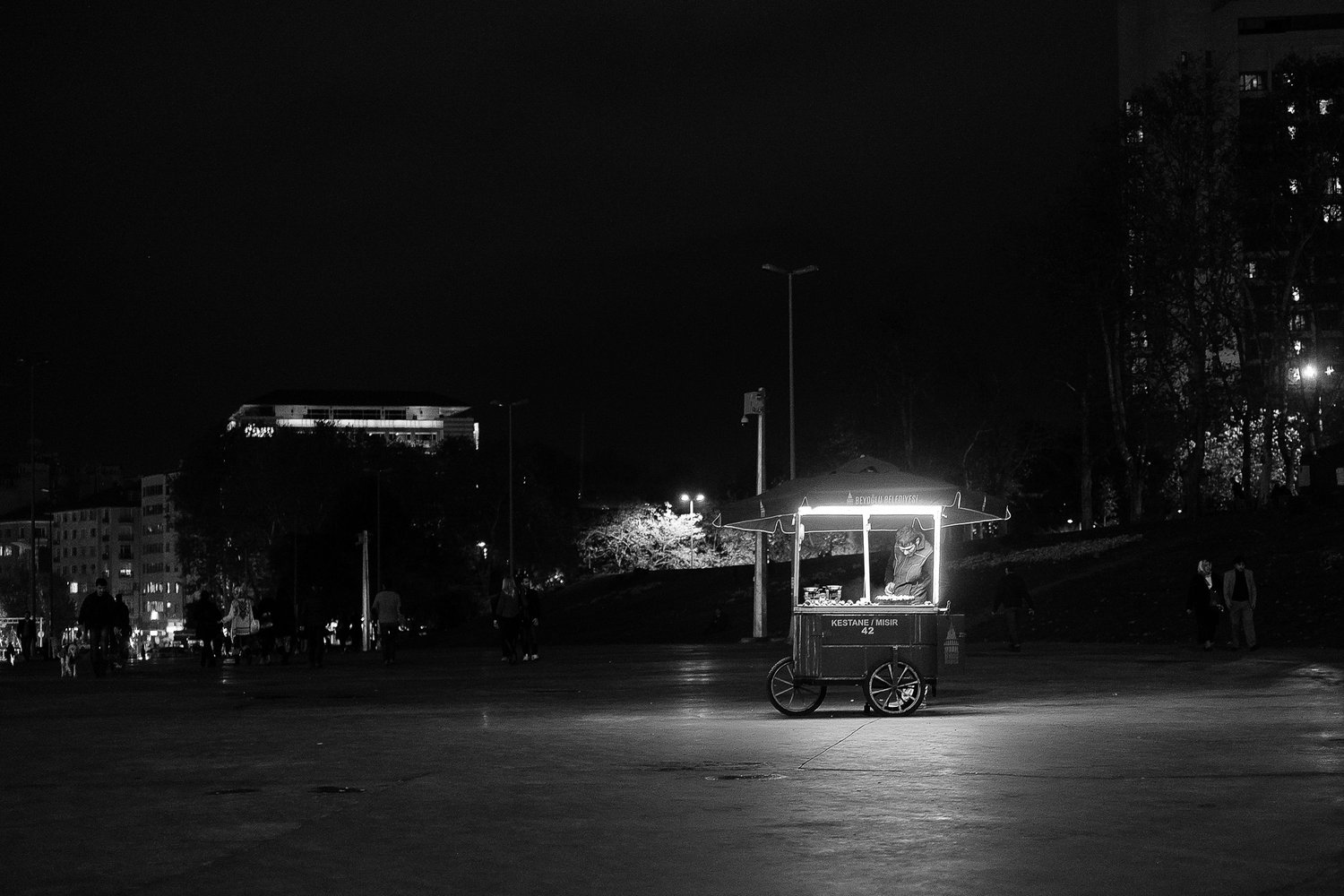 Istanbul in Black and White — photograph by Stephan Geyer